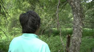 Taking a fast rough bearing while orienteering