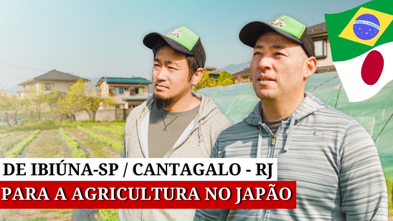 Amigos saíram de Fábrica para Empreenderem na Agricultura no Japão - PARTE 1