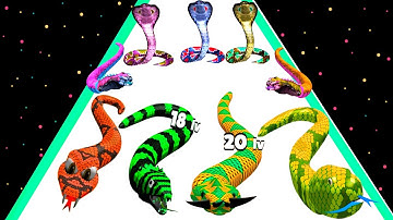 Snake Evolution 3d Run : Asmr Satisfying Game - Monster Snake 3d