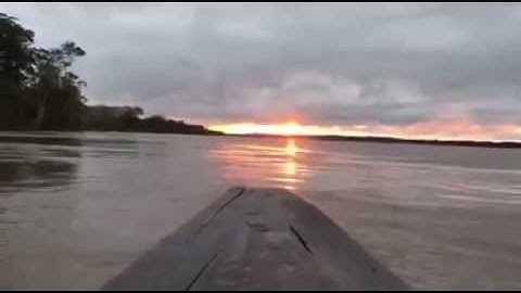 Rising with the Sun in the Amazon Jungle