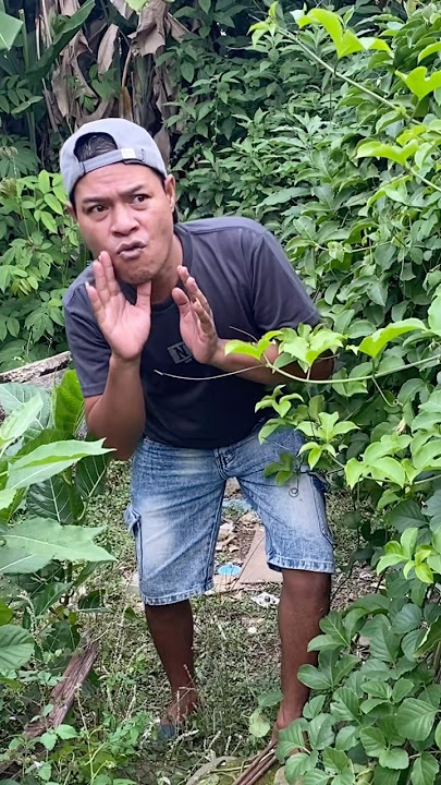 Mastran burung lucu viral kocak ngakak meme funny memes moments