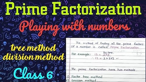 What is prime factorization| playing with numbers class 6 in Hindi|@EasywaybyAfroz