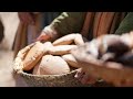 Jesus Feeds the Multitudes
