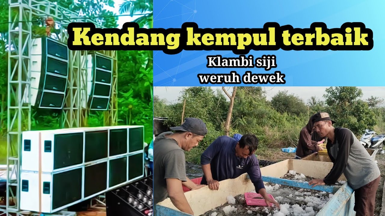Klambi siji weruh dewek kendang kempul terbaik