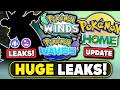 HUGE LEAKS! NEW Dragon/Poison Pokemon &amp; Gym Leader Details! NEW Pokemon Home Update!