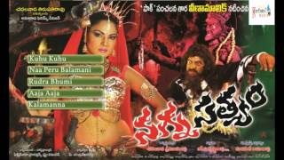 Ravi babu, veena malik ...