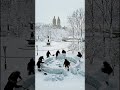 We Built an Igloo at Central Park NYC #nyc #blizzard  #snowstorm  #newyorkcity   #manhattan #snow