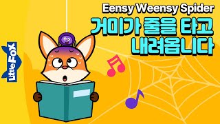 거미가 줄을 타고 내려옵니다 동요를 선생님을 따라하면서 한 줄씩 배워봐요. | 동요 따라부르기 | 리틀팍스 영어동요 | Eensy Weensy Spider | 조그만 거미