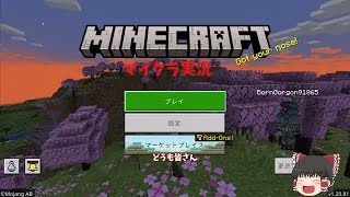 マイクラ