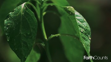 "The Seed" - 2017 Film Your Faith Video Contest