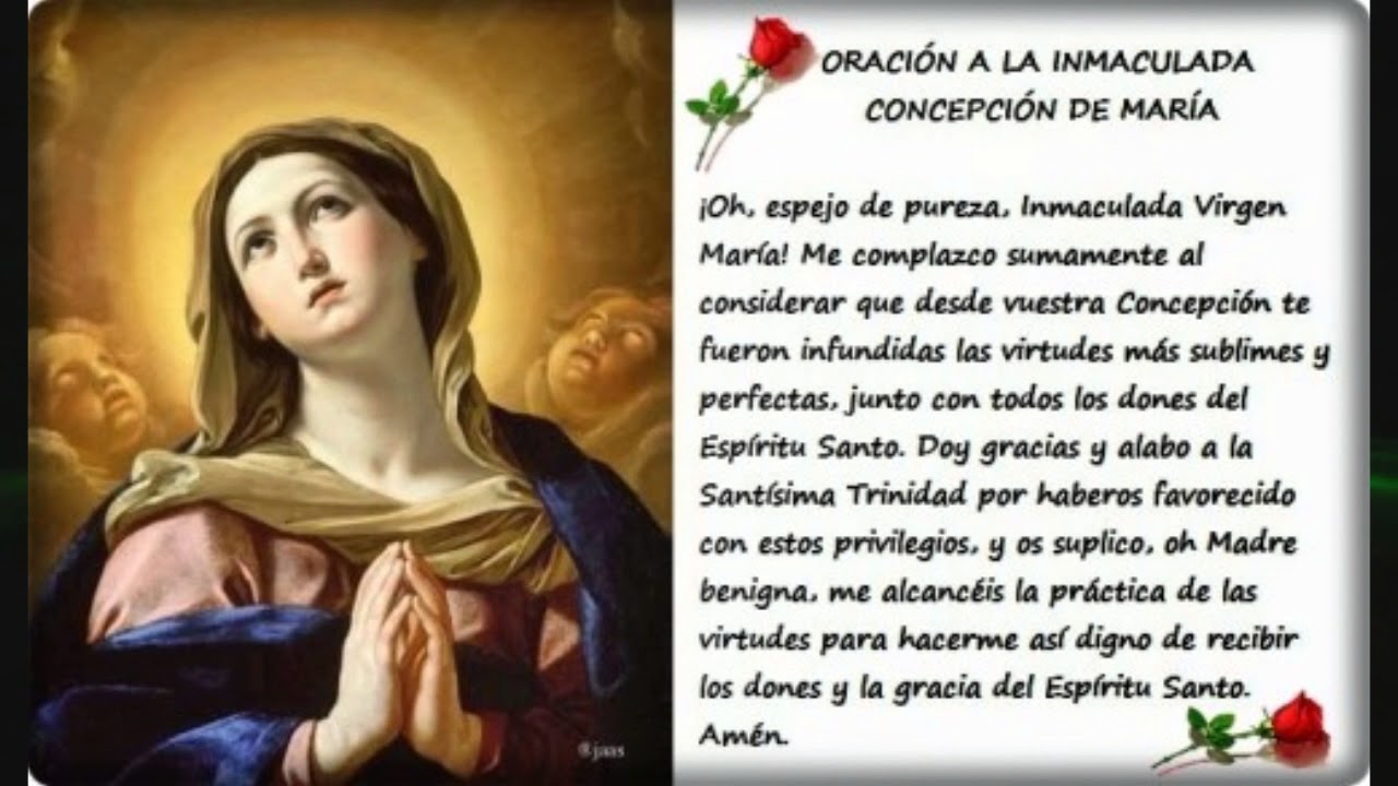 Que significa inmaculada