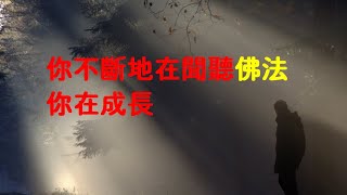 201708 你不断地在闻听佛法 你在成长23177