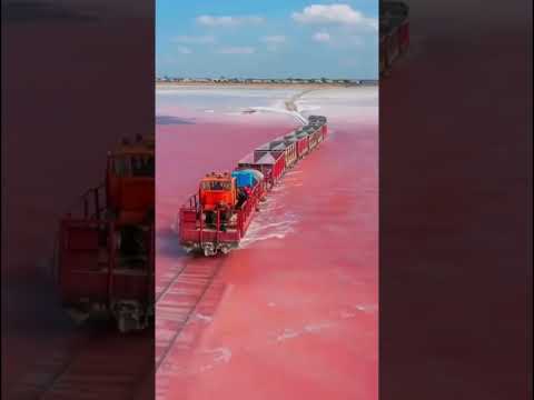 Train running through a pink Lake Burlinskoye in Siberia #shorts