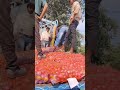 #trending #shortvideo #viral #youtube #comedy