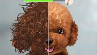 Asmr Remove Botfly .Best Dog In The World.get Rid Of From Puppy