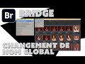 Bridge  astuces  changement de nom global