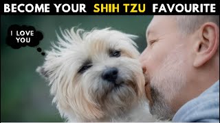 How Shih tzu Choose Their Favorite Person  Finally Secrets Revealed