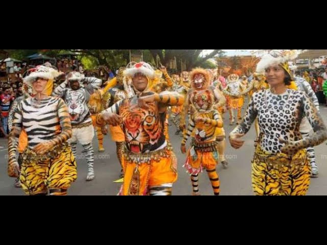 Bagha Nacha (Tiger Dance) | A Folk Dance of South Odisha Holding Pride & Beliefs | Satya Bhanja