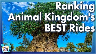 Ranking Animal Kingdom's BEST Rides