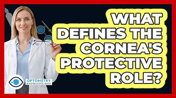 What Defines The Cornea
