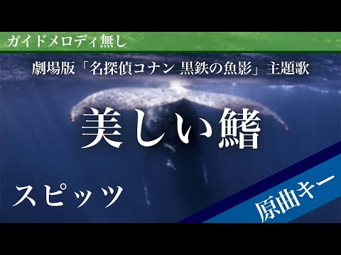 美しい鰭 (ピアノ伴奏) - スピッツ