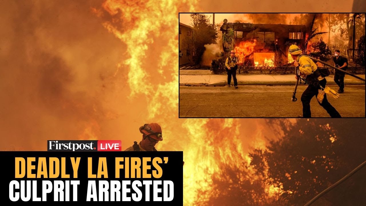 Los Angeles Wildfires LIVE: Culprit Behind Deadly Palisades Fire in Los ...