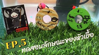 Ppe fishing : Ep.5 ไขข้อสงสัยหัวเชื้อตกกุ้งขณะใช้งานเป็นยังไง?