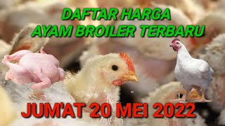 Harga Ayam Broiler Hari Ini Selasa 12 April 2022. 