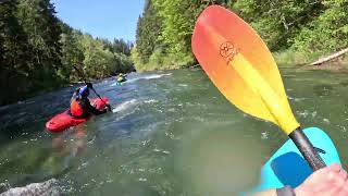 Cispus River Kayaking | Two Cedars to Scanewa Resevoir | 1100 CFS | 3 May 26