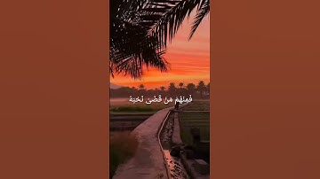 ﴿سورة الأحزاب ، الآية 23﴾ #القرآن_الكريم