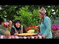 Cooking for the Whole Family Outdoors - Rural Traditions - Farm to Table