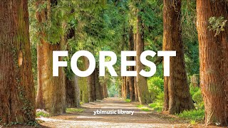 FOREST | 숲길을 걷는 듯한 상쾌한 음악 by 브금은 yblmusic library - Royalty Free Music 890 views 8 months ago 7 minutes, 13 seconds