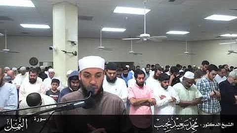 قصة نبي الله سليمان مع ملكة سبأ | سورة النمل | القارئ/ محمد سعيد نجيب