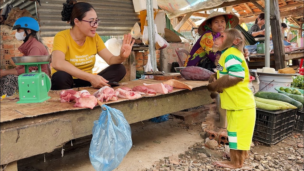 CUTIS protects baby monkeys in the most special surprise way!