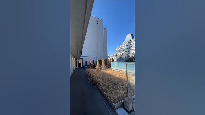 Cute rent apartment in Tokyo #shorts #shortsfeed  #youtubeshorts #trending #viralvideo #shortvideo