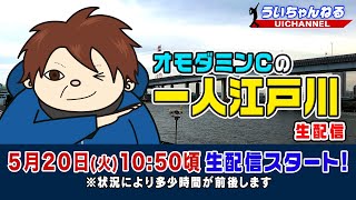 ボートレース【オモダミンＣの一人江戸川生配信】第7回