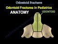 Odontoid Fractures - Everything You Need To Know - Dr. Nabil Ebraheim