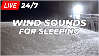 24/7 Wind Sound for Sleeping┇Snowtorm Live & Howling Wind Dark Screen┇Reduce Stress & Sleep Better