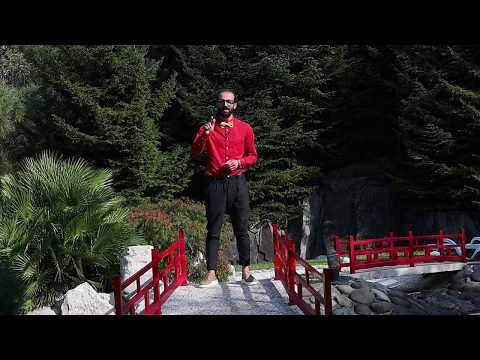 XI გადაცემა   გახსნა