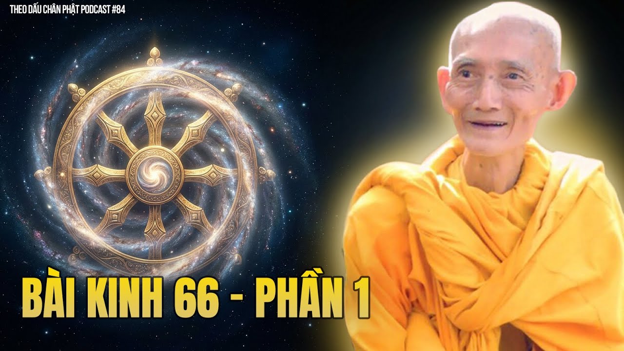Thuyết giảng BÀI KINH 66, thấy rõ sống chết luân hồi (Phần 1) -Thầy Thích Giác Khang