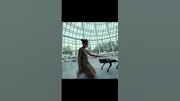 The Best AI-Friendly Robots  Human-Robot Interaction with Artificial Intelligence/BRAND-AI