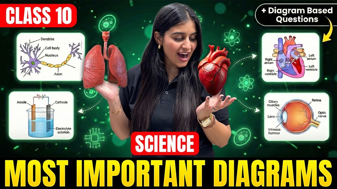 Class 10 Science Most Important Diagrams | Class 10 Biology | Chelsy ...
