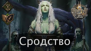 Гвинт. Сродство (Дар природы) feat Chase. Январь 2021г. Подробный гайд + бои. Патч 8.0