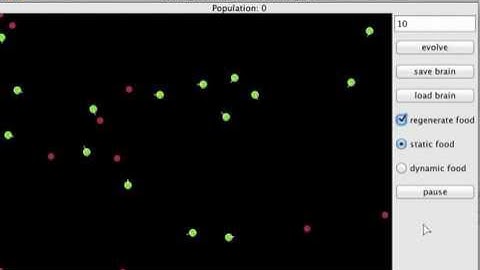 Different behaviour strategies of evolved neural network driven agents