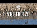 Duck Hunting: Freeze Up Mallards