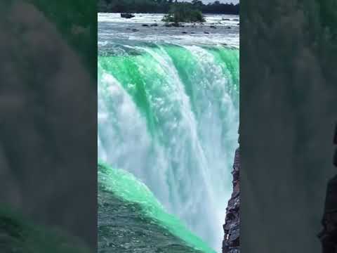 من قال لا اله الا الله مخلص من قلبه 