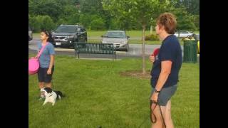 SOFK9S Disc Dog League Week 1