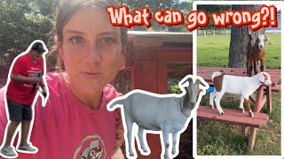 Farm work with PawPaw - what could go wrong? 😅