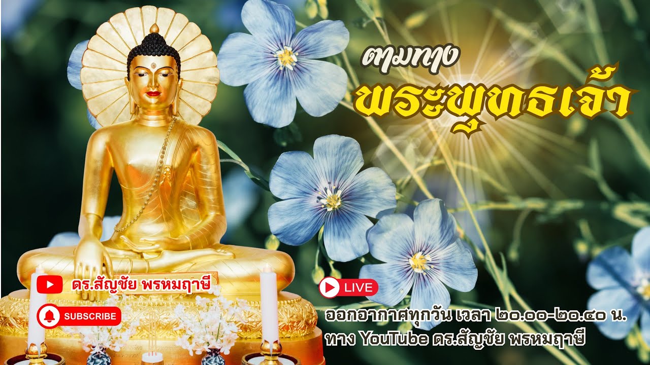 ตามทางพระพุทธเจ้า 3 มีนาคม 2569