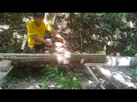 chain saw New